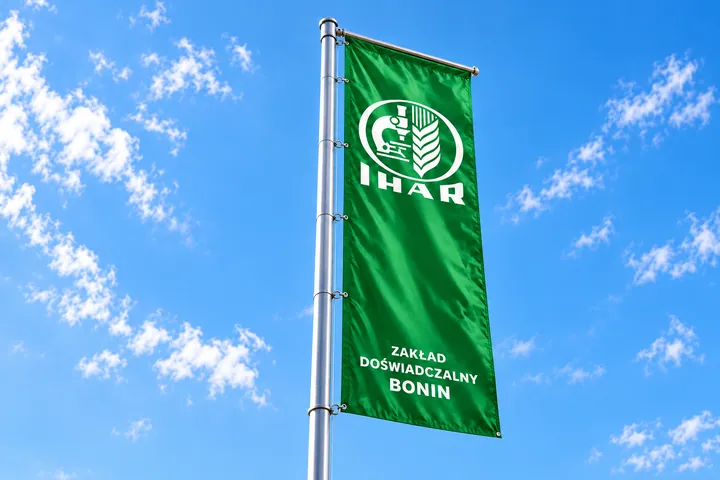 Flaga na maszt na tle nieba — wizualizacja projektu Evolution